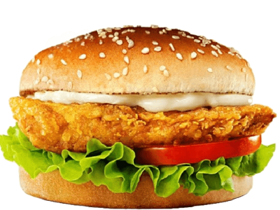 Aska Tavuk Burger | 320,00